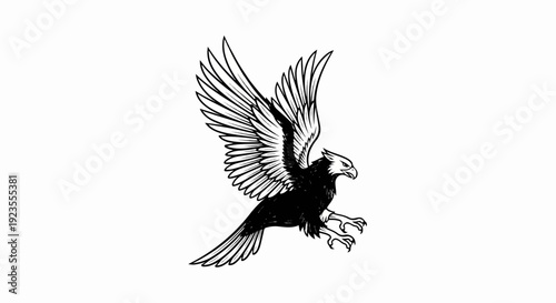 A black and white sketch of a bald eagle in flight, wings spread