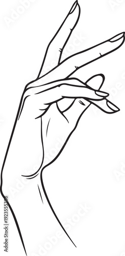 Slim fingers with soft curves, elegant line art style. in silhouette of white background.