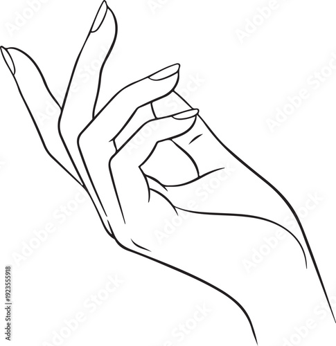 Slim fingers with soft curves, elegant line art style. in silhouette..