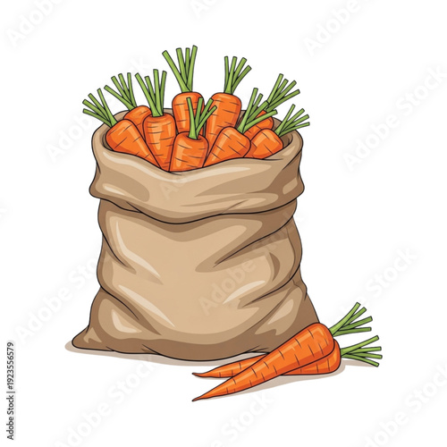 Illustration of a sack containing fresh carrots