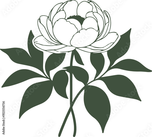 Minimalist natural floral vector sticker of peony flower with leaves, bold black thick clean outline, pure white background 1