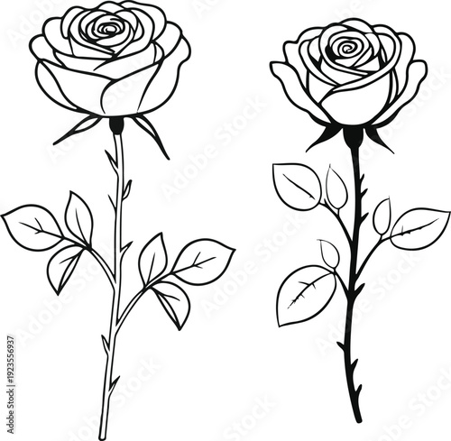 Minimalist natural floral vector sticker of single rose flower with stem and leaves, bold black thick clean outline, pure white background