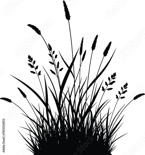 Detailed black silhouette graphic illustrating a dense cluster of assorted wild grasses and flowering meadow plants isolated against a clean white background for design use.