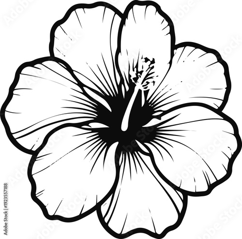 Minimalist natural floral vector sticker of hibiscus flower, bold black thick clean outline, pure white background