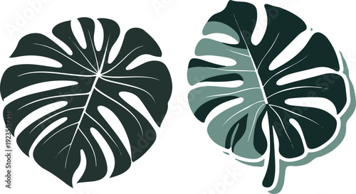  Minimalist natural floral vector sticker of monstera leaf, bold black thick clean outline, pure white background 1