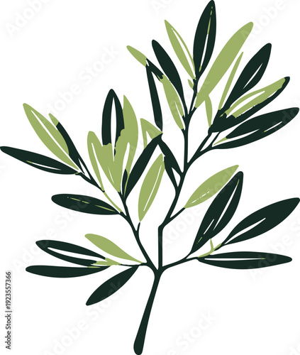 Minimalist natural floral vector sticker of olive branch with leaves, bold black thick clean outline, pure white background 2