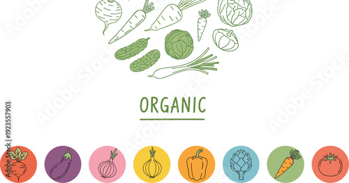Organic Vegetable Icons Collection – Flat and Outline Healthy Food Vector Set