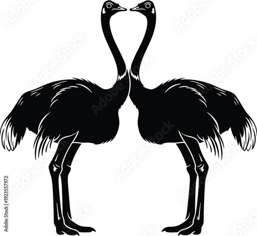 Pair of ostrich silhouettes standing face to face with long necks and feathers cad drawing flat vector illustration medical icon, black, bird