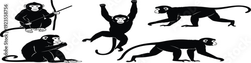 Black silhouettes of monkeys and primates in various active poses like climbing sitting and walking isolated on white background for wildlife animal designs