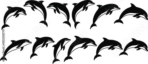 Black silhouettes of jumping dolphins in different swimming and leaping poses isolated on white background for marine life and aquatic ocean designs