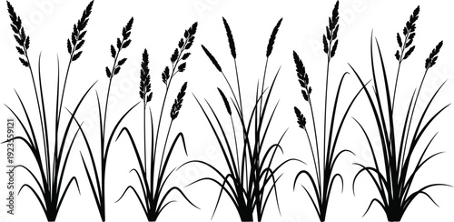 Collection of various tall wild grass and seed head silhouettes representing natural meadow flora in simple black and white graphic style