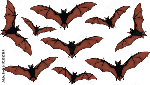 Flying Bat Collection Vector Illustration Set with Spread Wings Isolated on White Background for Halloween Wildlife and Night Design