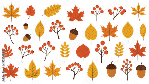 Large collection of colorful autumn leaves and brown acorns featuring diverse shapes and warm fall colors for seasonal design.