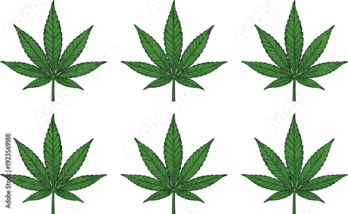 Cannabis Marijuana Leaf Collection Vector Illustration Set Isolated on White Background for Medical Hemp Botanical and Herbal Design Projects