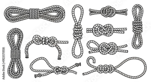Collection of realistic illustrations of various nautical and climbing rope knots on white