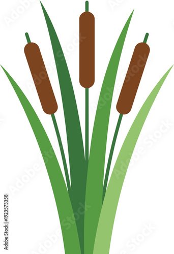 Illustration of three cattails with green leaves, a common wetland plant