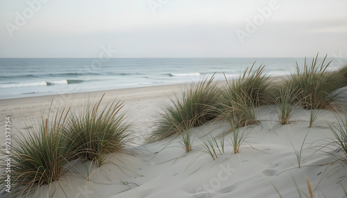 Windswept marram grass sandy beach seascape