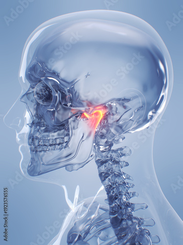 A Detailed 3D Depiction Of The Temporomandibular Joint Of A Human Male