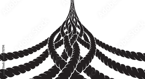 Intricately Braided Black Ropes on White Background Illustration Design