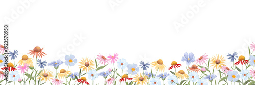 Seamless Watercolor Spring Flower Border with Wildflowers on White Background
