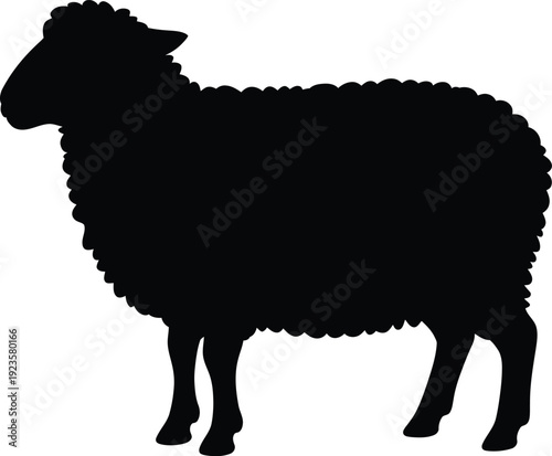 Silhouette of a sheep with thick wool, standing in profile view, black graphic
