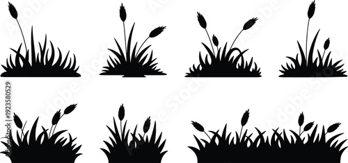 Grass and wheat silhouettes collection, black meadow and cereal plants isolated on white background for natural landscape design