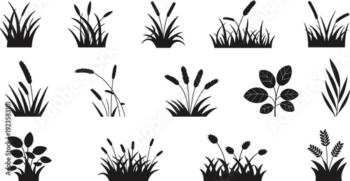 Set of grass, reed and leafy plant silhouettes isolated on white background for botanical landscape design vector illustration