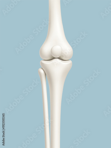 Human knee joint bones anatomy on blue background. Medical or healthcare concept. Vector illustration