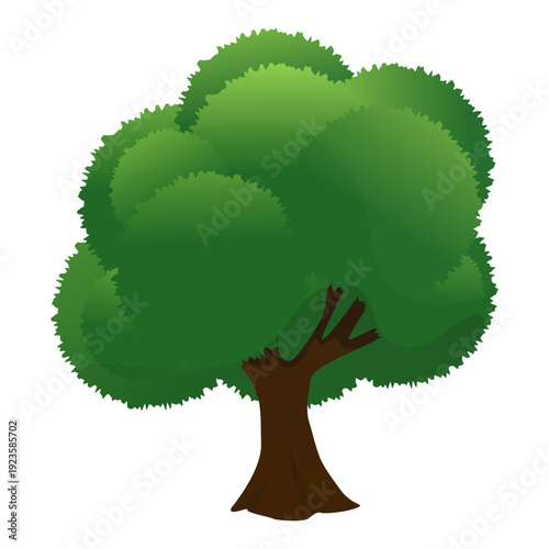 Tree Illustration