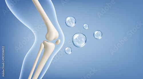 Healthy knee joint with collagen and vitamin molecules. Bone and cartilage support concept. Realistic medical vector illustration