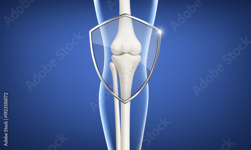 Knee joint model with protection shield icon. Healthcare orthopedic safety concept. Vector realistic illustration