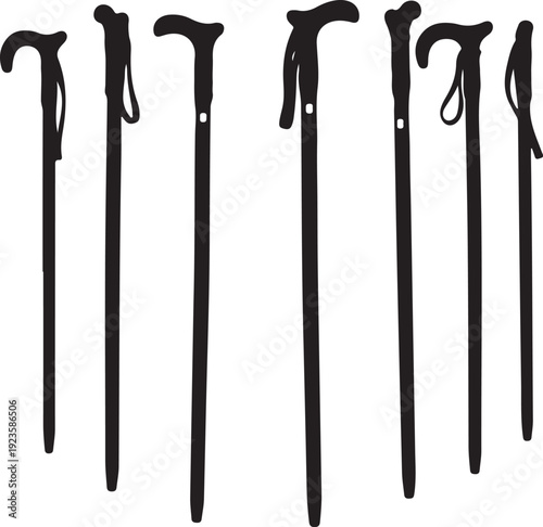 Collection of black walking sticks with various handles shown