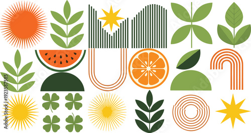 Abstract Nature Elements Collection with Sun, Leaves, Rainbow Shapes, and Citrus Fruits in Modern Boho Style for Decorative