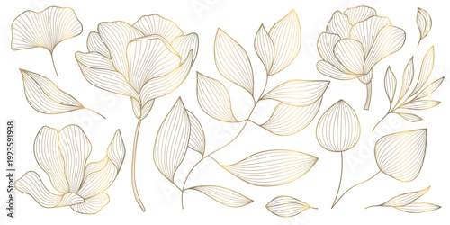 Luxury floral pattern, gold line chinese roses, peonies, elegant leaves isolated. Ornate vector illustration vintage engraving, modern minimalism, wedding design, romantic print, wallpaper, border.