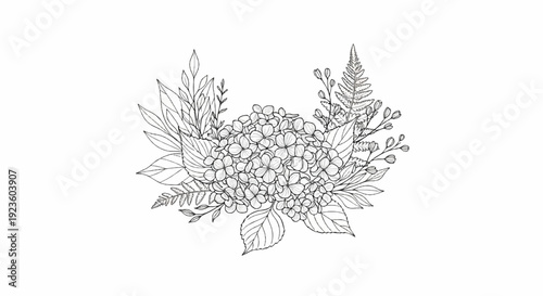 Delicate sketch of a floral arrangement featuring hydrangeas and ferns
