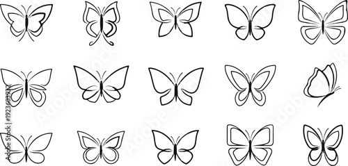 Collection of stylized outline drawings of various butterflies