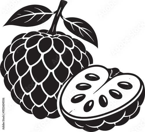 Custard apple fruit whole and cut half with seeds black and white illustration isolated