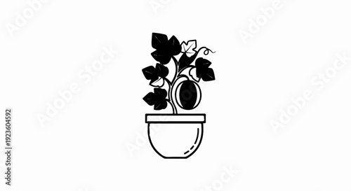 Black and white illustration of a potted plant with a single fruit and large leaves