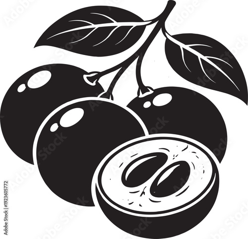 Jabuticaba fruit vector illustration collection isolated on transparent background