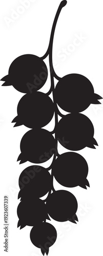 Redcurrant on branch black silhouette isolated on white background vector illustration