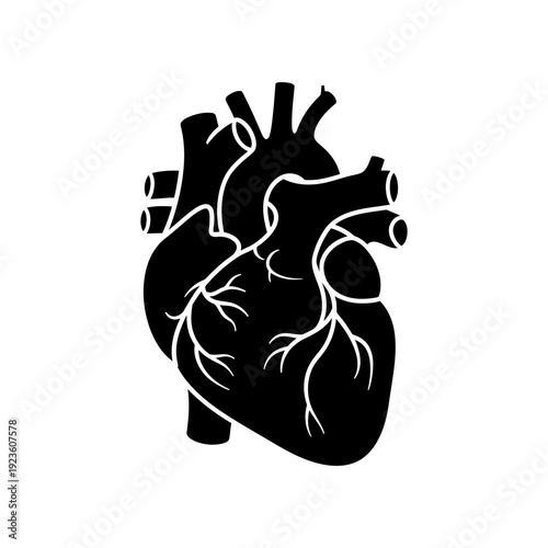 High-detail black and white vector illustration of a human heart with visible arteries and veins, ideal for medical, healthcare, and educational purposes.