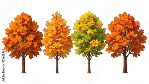 Set of four autumn maple trees with vibrant foliage isolated on transparent background. illustration of autumnal sugar maple trees for nature-themed graphic design. 