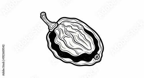 Black and white illustration of a dried chili pepper on a white background