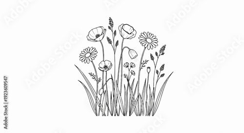 Delicate line art depicts various wildflowers and grasses in bloom