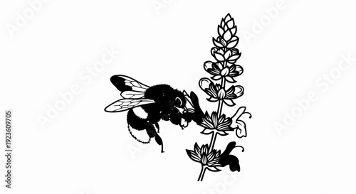 Black and white illustration of a bumblebee on a flower stem