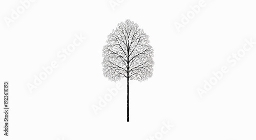 Delicate black and white drawing of a bare tree with intricate branches