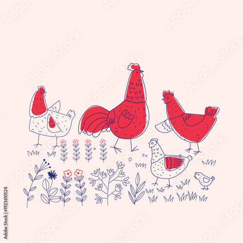 Rooster, chicken sketch hand drawn retro vintage vector illustration. Poultry farm animal isolated on background.