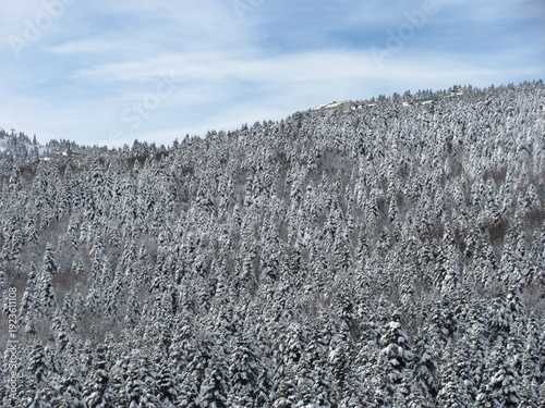 ,Serene Snow Covered Forest And Mountain Landscape