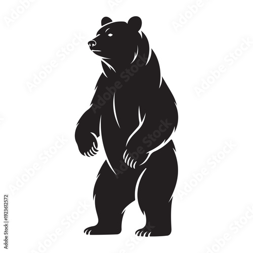 bear stands