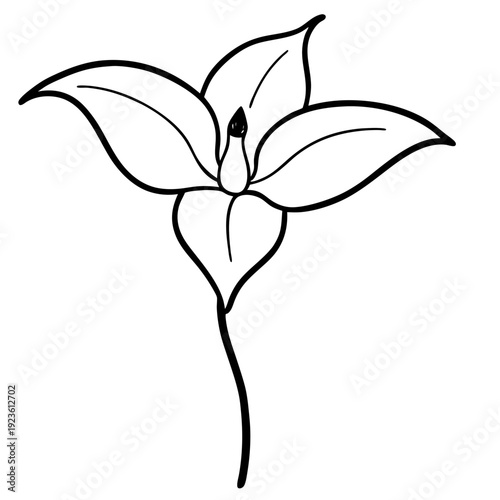 Minimalist white orchid flower icon with stigma on black background